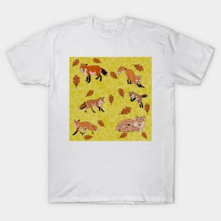 Red Foxes in Yellow T-Shirt